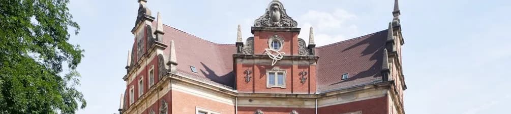 International Students Share Their First Experiences at BSBI