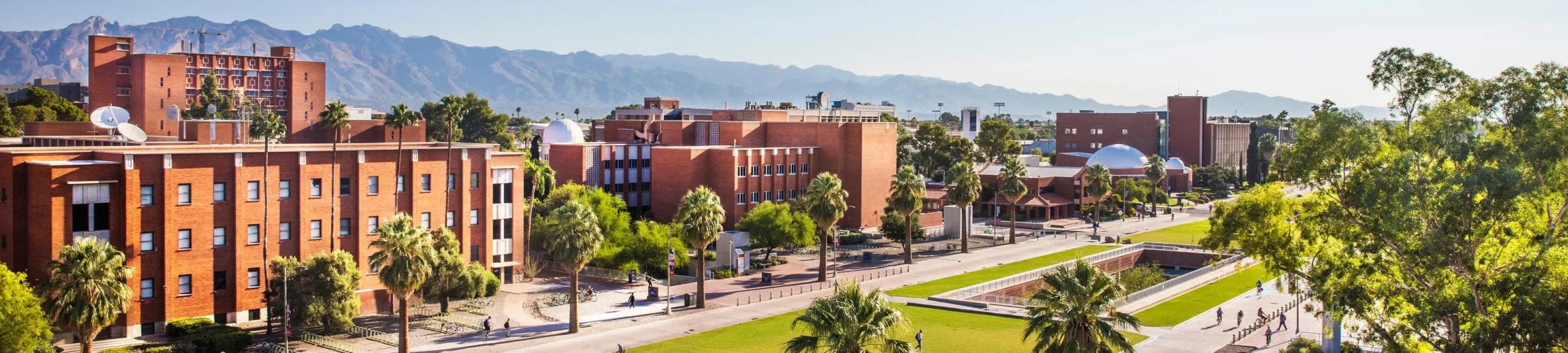 Student Life at the University of Arizona: Campus, Community and Everyday Experience