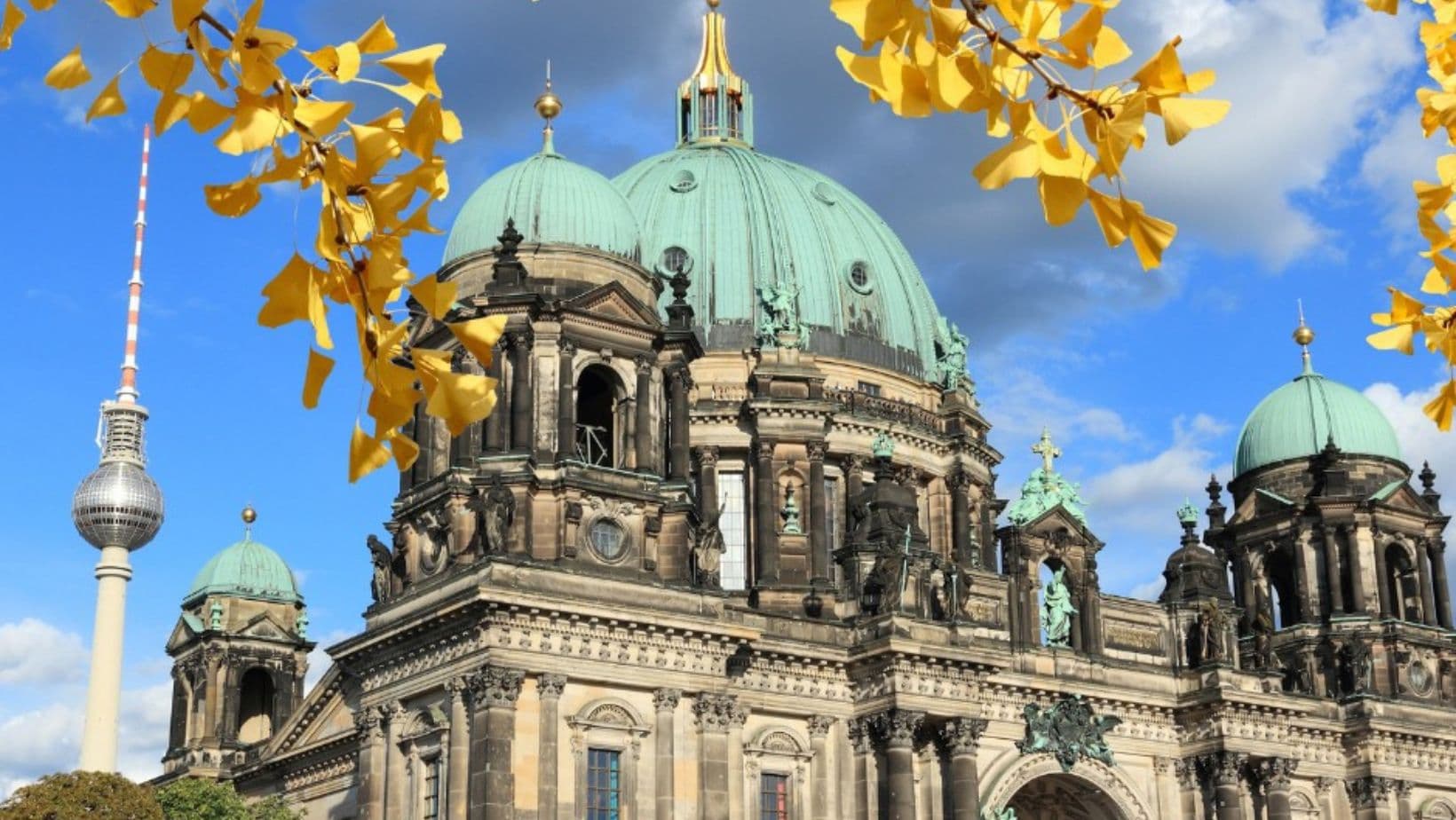 1755172762040-ARDEN-UNIVERSITY-GERMANY-KCR-CONSULTANTS.jpg