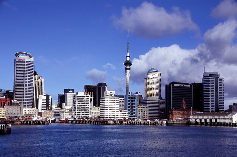 Medium auckland